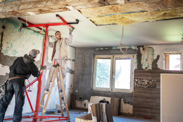 Best Insulation Removal Services  in Martins Ferry, OH